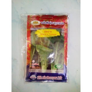 เมล็ดพันธุ์ผักชุ่นช่าย ชนิดซอง