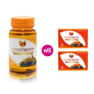 ถั่งเช่า CORDY BERRY 1 กระปุก แถมฟรี 2 แผง