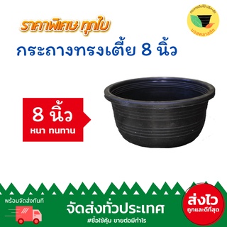 (เก็บโค้ดส่งฟรีหน้าร้านค้า) กระถางพลาสติกดำทรงเตี้ย 8 นิ้ว แพ็ค 50 ใบ กระถาง 8 นิ้วเตี้ย กระถางทรงเตี้ย