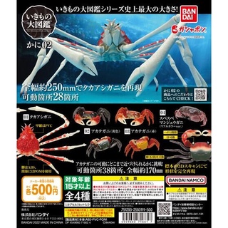 (มีของพร้อมส่ง) กาชาปองปู โมเดลสัตว์ Gashapon The Diversity of Life On Earth Crab Vol.2 Bandai