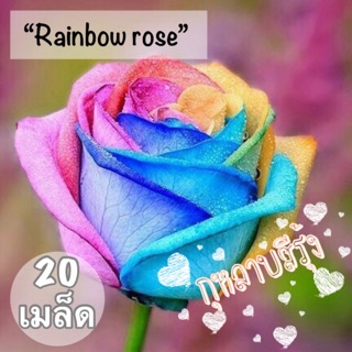 HOT!💗ต้อนรับวาเลนไทน์💗เมล็ดพันธุ์นำเข้า “กุหลาบสีรุ้ง”(Rainbow rose)🌹