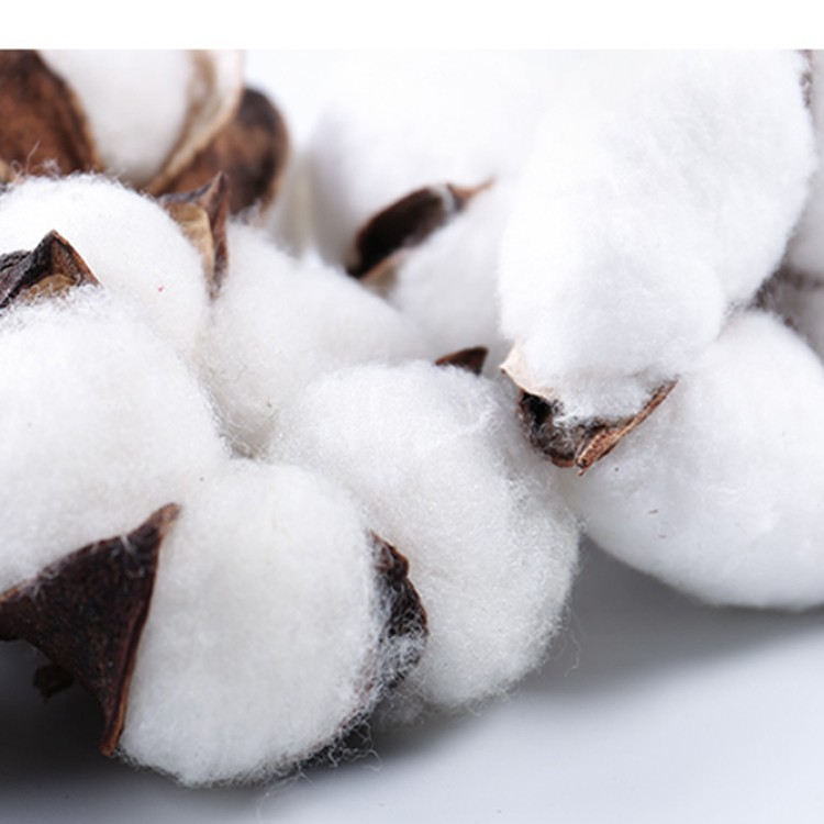 Y167เสื้อแจ็คเก็ตลายโดเรม่อน การ์ตูนยอดฮิต (ใส่ได้ทั้งชายและหญิง) - รูปที่ 6