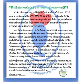 เมล็ดพันธุ์ เมล่อน กรีนเน็ต - Melon Green Net ตราดอกแตง เมล็ดพันธุ์ เมล็ดผัก คุณภาพ "เพื่อนเกษตรกร"