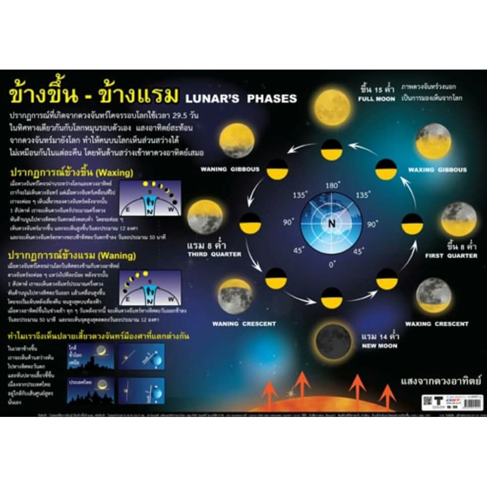 My Image 6
