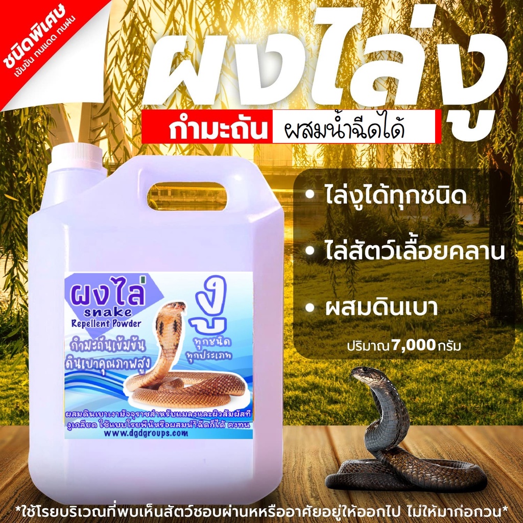 ผงไล่ งู ตัวเงิน ตัวทอง (SB-7) กำมะถัน+ดินเบาชั้นดี 7กิโลกรัมโรยไล่แมลง กบ หอย ริ้น ฯลฯ ใช้คุ้มค่า เก็บรักษาง่าย