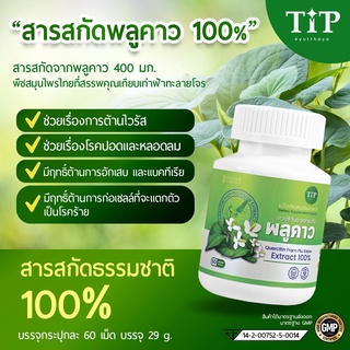 สารสกัดพลูคาว 100%  ชนิดแคปซูล Tip Product