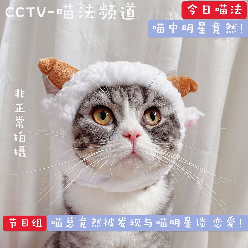 N Y แกะน้อยหมวก หมวกตุ๊กตาแพนด้า สําหรับสัตว์เลี้ยง สุนัข แมว