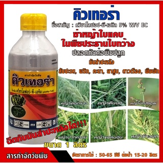 คิวเทอร่า ( ควิซาโลฟอป-พี-เอทิล ) 5% สารกำจัดวัชพืชใบแคบทุกชนิด หญ้าข้าวนกสีชมพู ตีนนก ดอกขาว ปากควาย(1ลิตร)