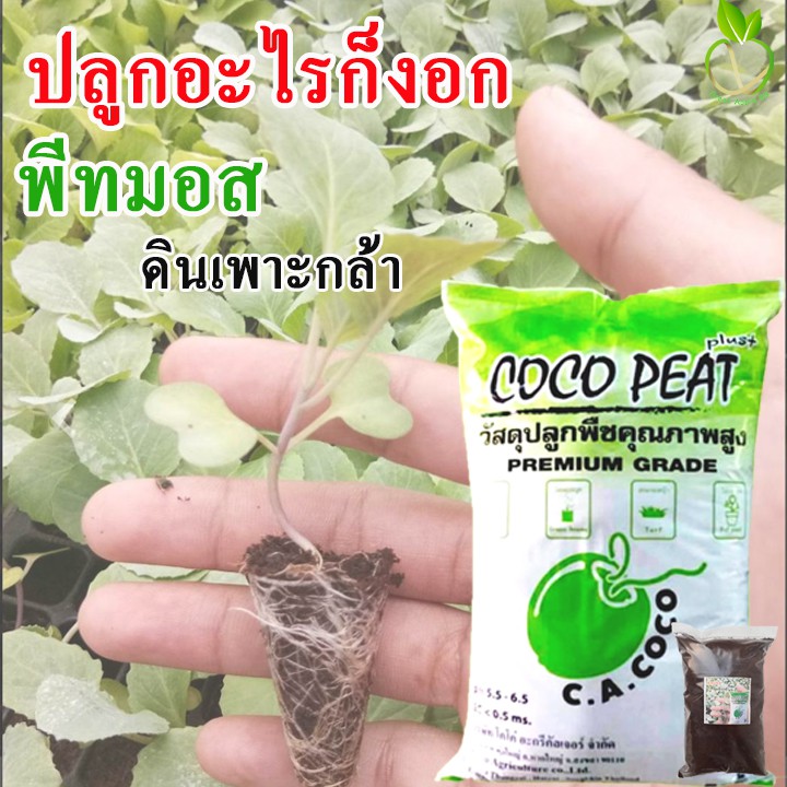 ดินเพาะกล้า ขนาด 2 ลิตร ดินเพาะกล้าพีทมอส  พีทมอสเพาะเมล็ด ดินเพาะเมล็ด ดินเพาะต้นกล้า พีทมอสคลาสแมน พีทมอสกระสอบ