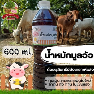 น้ำหมักชีวภาพมูลวัว ด้วยจุลินทรีย์สังเคราะห์แสง 600 ml. กระตุ้นการแตกยอดใบใหม่ ลำต้น กิ่ง ก้าน ใบแข็งแรง**หยกเพชรฟาร์ม**