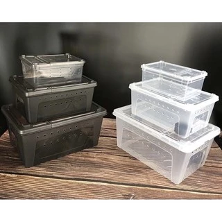 Reptile Box กล่องเลี้ยงสัตว์เล็ก สัตว์เลื้อยคลาน สัตว์เล็ก ผสมพันธุ์สดกล่อง สำหรับ แมงมุม ตุ๊กแก ฮอร์นฟรอก ตะขาบ แมงป่อง