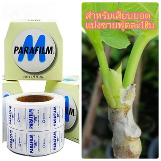 พาราฟีล์ม เอ็ม / Parafilm M ของแท้