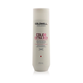 GOLDWELL - Dual Senses Color Extra Rich Brilliance Shampoo (