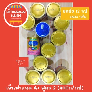 ***ยกลัง 12 กระป๋อง*** เอนฟาแลค สูตร 2  Enfalac A+ 4800กรัม หมดอายุปี  67 เอนฟา แล็ค