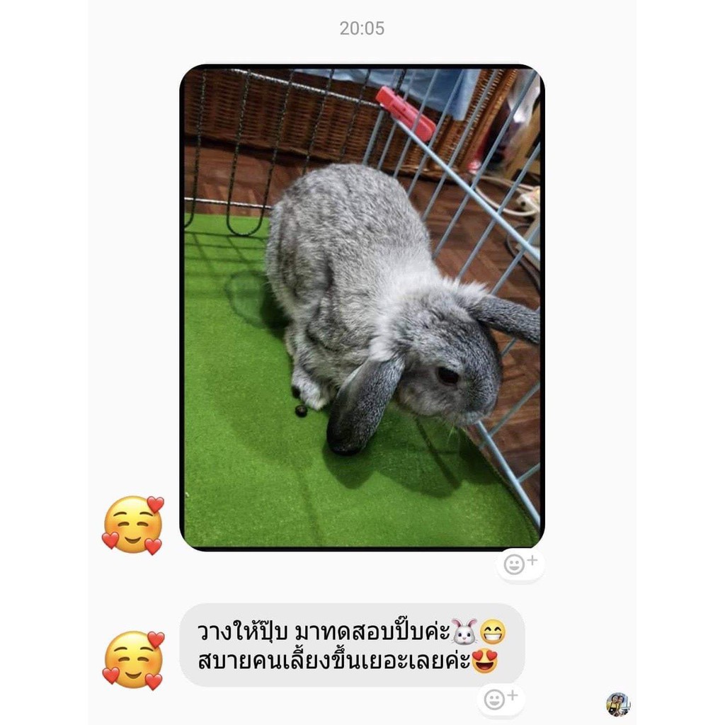 ร้านโทโมะ 💕แผ่นรองซับ ซักได้ Dog Owner รองซับสัตว์เลี้ยง แผ่นซับฉี่ แผ่นรองฉี่ ฝึกขับถ่าย ซึมซับเยี่ยม