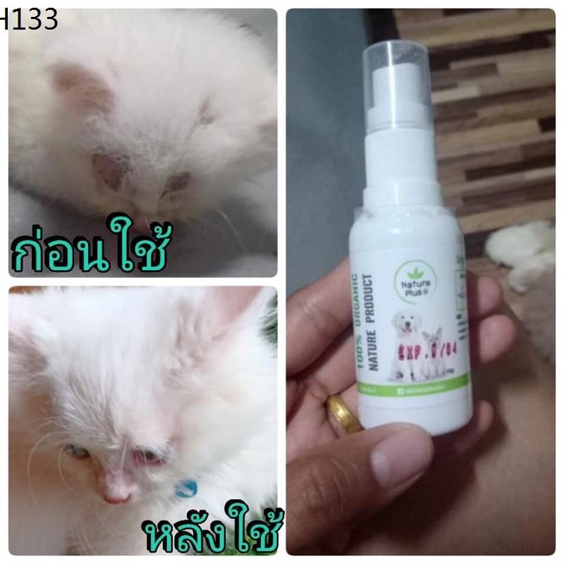 My Image 36