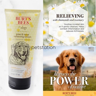 Burt’s Bees Paw &amp; Nose Lotion โลชั่นทาอุ้งเท้า และจมูก Care Plus