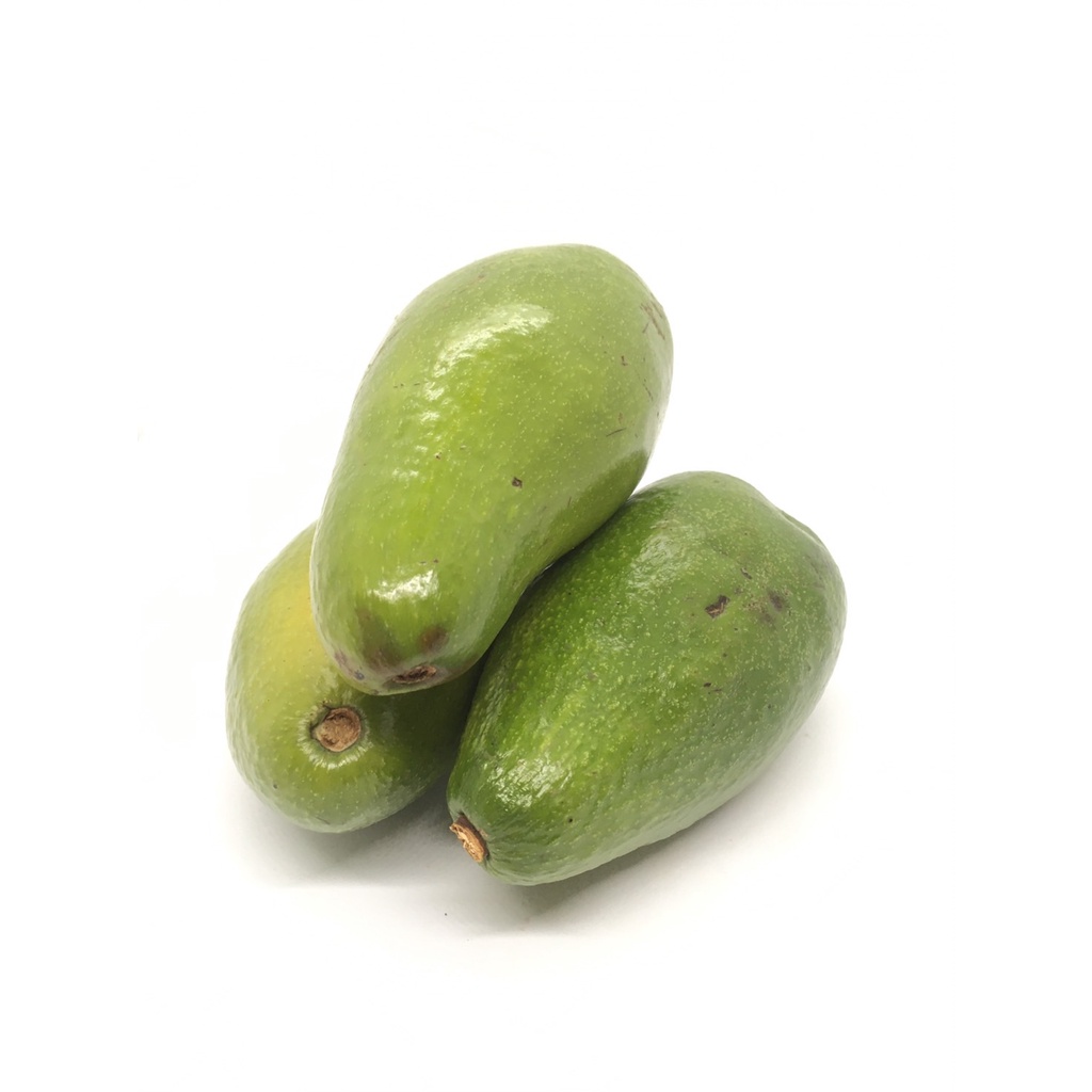 อโวคาโด้ พันธุ์เวียดนาม / พันธุ์พื้นเมือง อะโวคาโด้