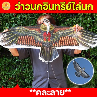 ว่าว ว่าวนกอินทรีย์ 110x47CM. ว่าวไล่นก ว่าวไล่ศัตรูพืชขนาดเล็ก