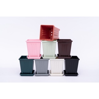กระถางสี่เหลี่ยม 7 นิ้ว พร้อมจานรอง ((มี 2 สี ขาว และ ดำ)) พร้อมส่งทันที [[โค้ดส่วนลด 6.6 ด้านล่างคะ]]