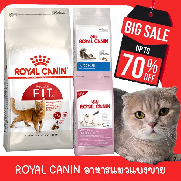 🍖เเบ่งขาย 1 KG.🍖 Royal Canin Fit 32 ,สูตร INDOOR &amp; Baby Cat🍖 อาหารแมวแบบเม็ด สำหรับแมวโตรูปร่างดี อายุ 1 ปีขึ้นไป