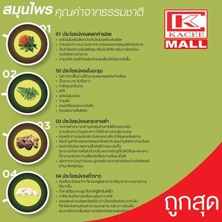 idea กาแฟสมุนไพร ไอเดีย 7in1 ปราศจากน้ำตาล ใช้สารสกัดจากธรรมชาติ ดีต่อสุภาพ (บรรจุ22 ซอง)