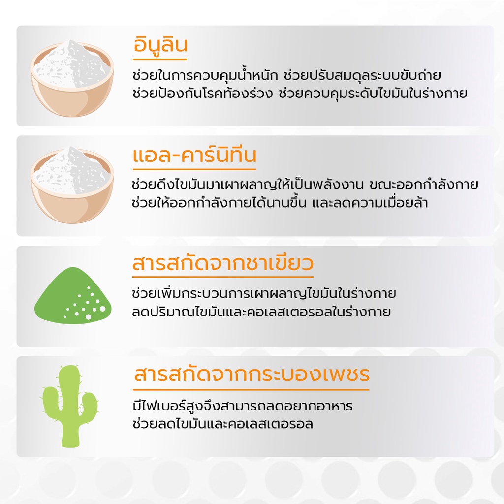 L-CARNITINE AND INULIN COMPLEX 1 ซอง (8.5 g.) เพิ่มการเผาผลาญ ดีท็อกซ์ ...
