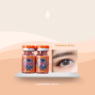 คอนแทคเลนส์ | Montra สี Vivianna Gray [ มีค่าสายตา ] ** ฟรี ตลับ **