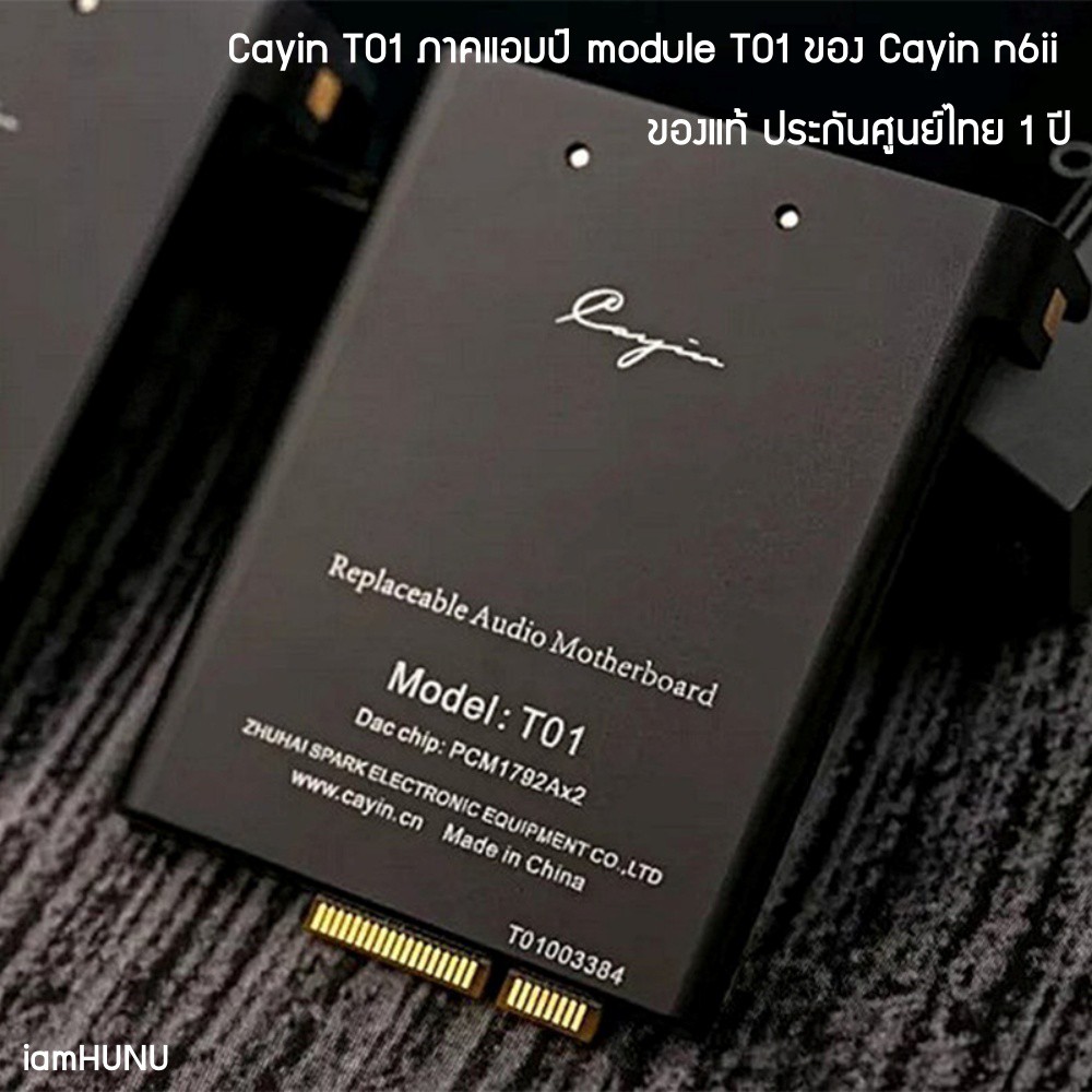 Cayin T01 ภาคแอมป์ module T01 ของ Cayin n6ii