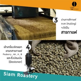 เมล็ดกาแฟคั่วบด Siam Fresh Coffee | กาแฟสดคั่วบด กาแฟคั่วเข้ม Arabica 100% | ขนาด 250g.