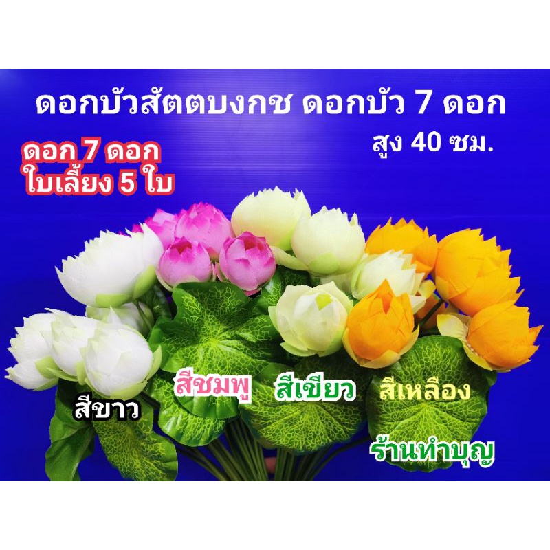 ดอกบัวใหญ่ ดอกบัวสัตตบงกช บูเก้ดอกบัว สูง40 ซม ประกอบด้วย ดอก7ดอก ใบเลี้ยง5 ใบ มี 4 สี บัวไหว้พระ บัวประดับ ช่อดอกบัว