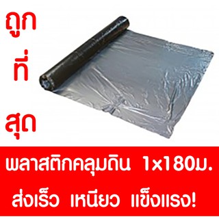 พลาสติกคลุมดิน พลาสติกคลุมแปลง พลาสติกดำ/เงิน 1.00ม.x200หลา(180ม.)