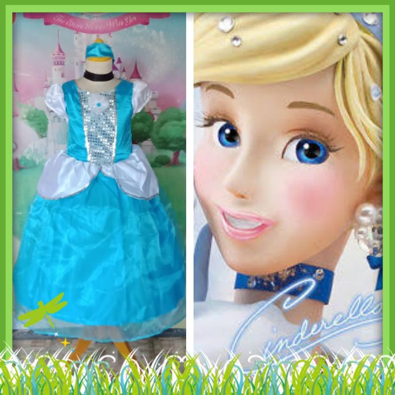 Princess Cinderella Deluxe/Princess Cinderella Costume/Disney Princess คอสเพลย์