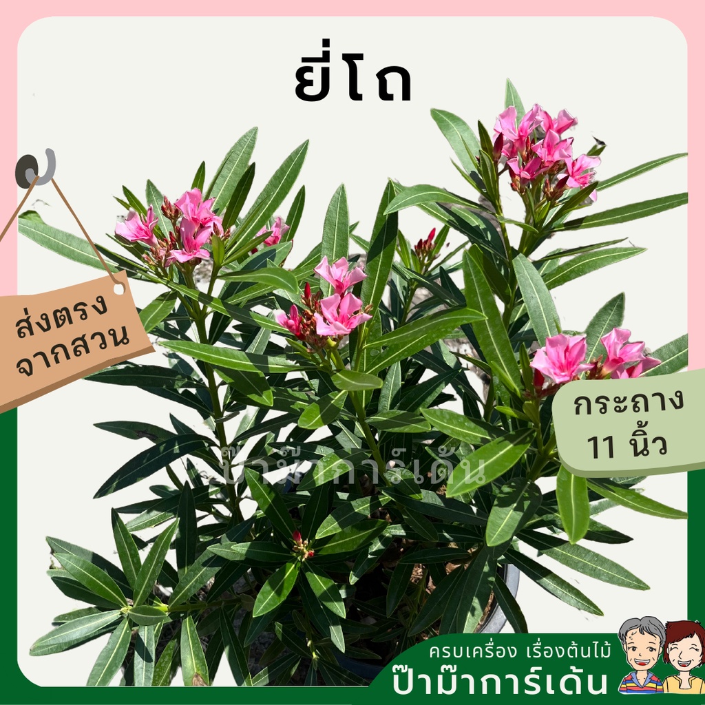 มุมมอง 3