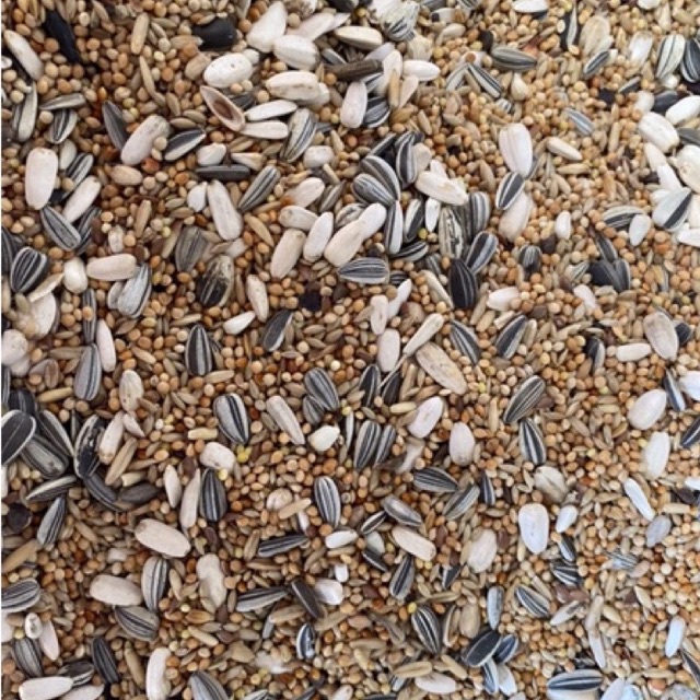 ธัญพืช 13 อย่าง อาหารนกแก้ว สำหรับนกแก้วขนาดเล็ก - กลาง (แบ่งขาย 1kg)