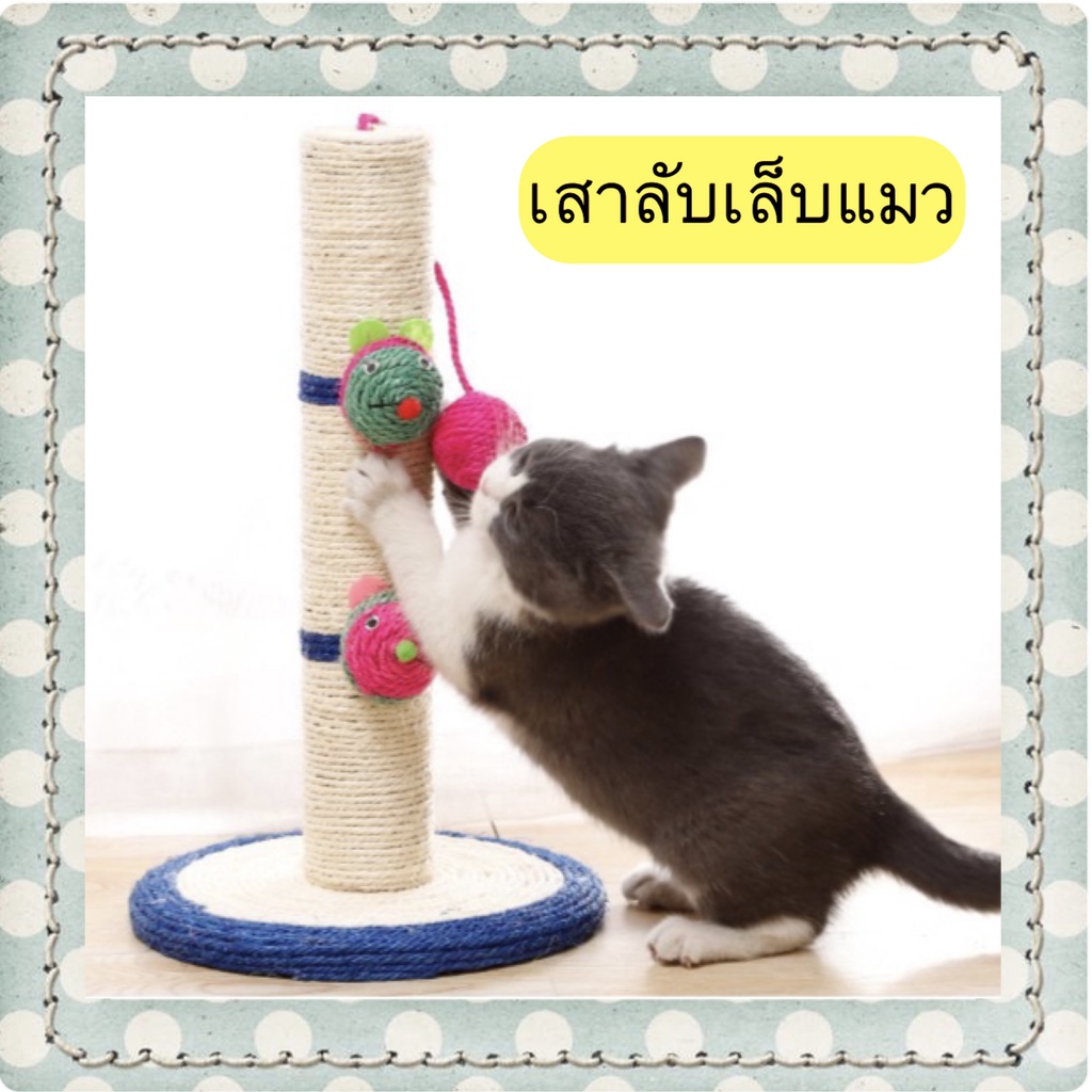 #ที่ลับเล็บแมว #ของเล่นแมว #ที่นอนแมว #ของเล่นสัตว์เลี้ยง #ราคาถูก #แข็งแรง