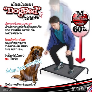 Elevated Dog Bed เตียงสุนัขพร้อมตาข่าย ที่นอนหมา เปลสัตว์เลี้ยง ที่นอนสุนัข ที่นอนสัตว์เลี้ยง ที่นอนหมา เตียงแมว