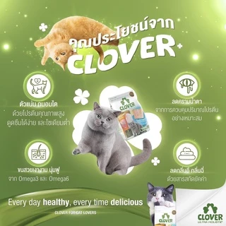 Clover อาหารแมว ultra holistic grain-free ขนาด 5 กก. อาหารแมวชนิดแห้ง อาหารแมวชนิดเม็ด อาหารเม็ดแมว