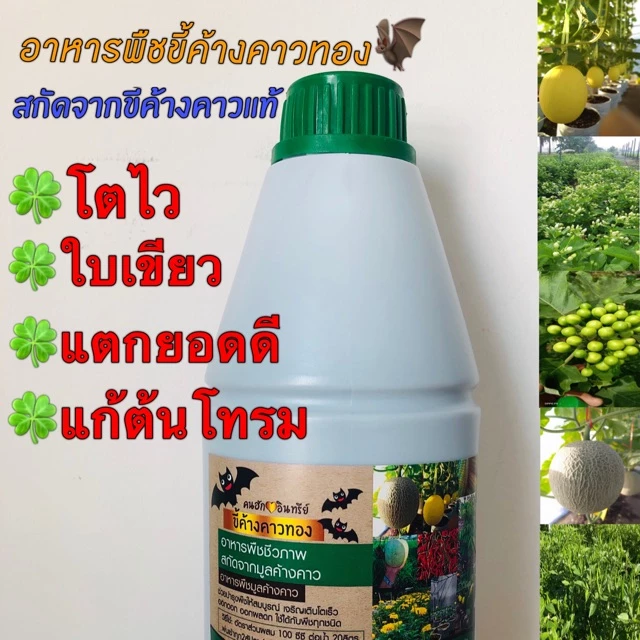 ขี้ค้างคาวทอง อาหารพืชกินไว จากขี้ค้างคาวแท้💯% อินทรีย์แท้💯%