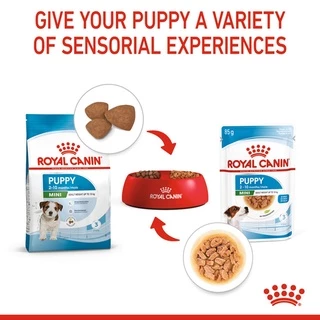 [PETClub] Royal Canin Wet Mini Puppy in Gravy - อาหารเปียกสูตรลูกสุนัขพันธุ์เล็ก 85g.x12ซอง