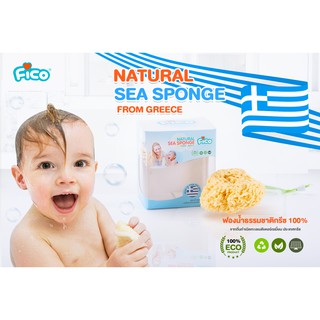 Fico Sea Spong 100% Natural ฟองน้ำธรรมชาติ 100%