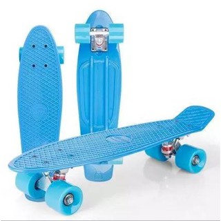 skateboard mini cruiser penny style 22”