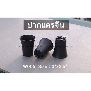 กระถางปากแตรจีน  แคคตัส 3 นิ้ว woo5 สีดำ