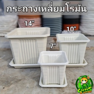 ถูกและหนา‼️กระถางเหลี่ยมทรงโรมันมีขายกสูง หนา 7"/10"/14" ❌️กระถางกับจานขายแยกค่ะ❌️ สีขาวครีม/เทา/ดำ/อิฐ