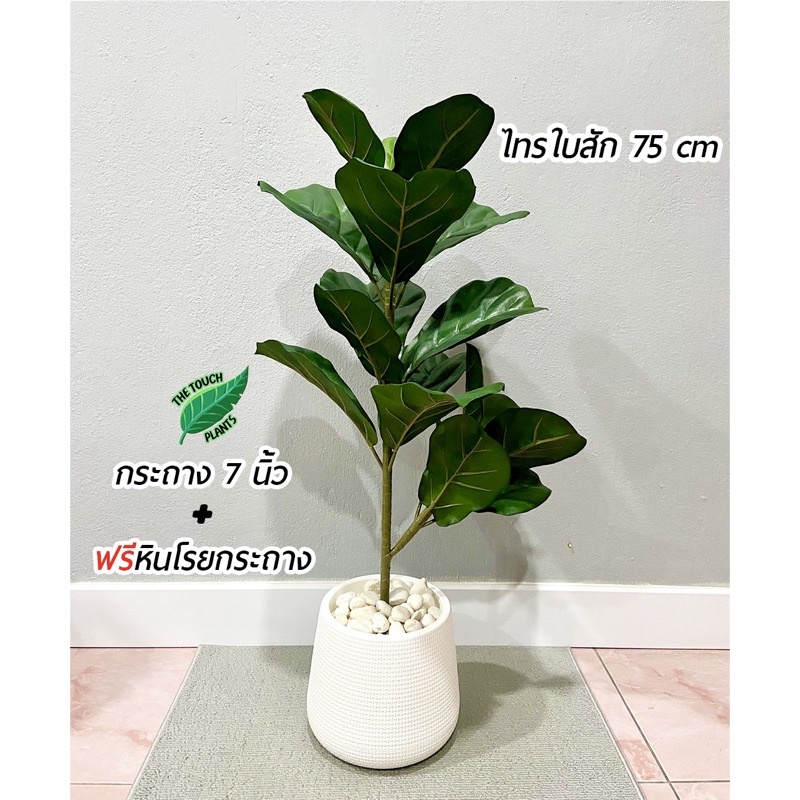ต้นไม้ปลอม ไทรใบสัก พร้อมกระถางแหละหินสีขาวครบเซ็ต(75cm)
