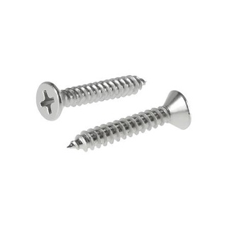 อุปกรณ์ยึดติด สกรูเกลียวปล่อย TF 8X1 นิ้ว 25 ตัว Screws, Nuts &amp; Washers