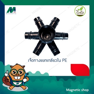 เจ็ดทางแยกเกลียวใน PE 3/4"x16 มิล - 3/4" x 20มิล - 1" x 20 มิล