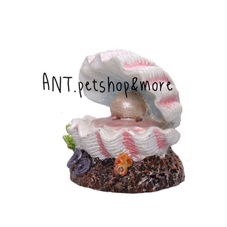 📌พร้อมส่ง!!! ไม่ต้องรอของนาน เรซิ่นตกแต่งตู้ปลา หอยไข่มุก