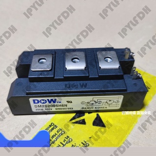 โมดูลเพาเวอร์ IGBT DM2G200SH6N