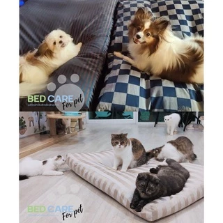 Bed Care For Pet เบาะนอนสัตว์เลี้ยงเพื่อสุขภาพ สัมผัสเย็น ป้องกันไรฝุ่น ไม่ติดขน "รุ่นสะท้อนน้ำ" สีเทาบลอนด์ ส่งฟรี 🔥